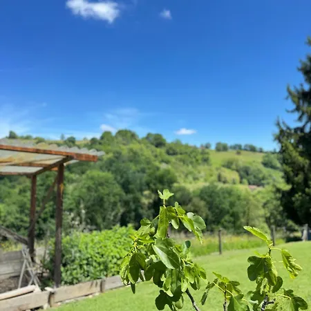 Maison De Charme Avec Piscine - Le Cocon De * La Bastide-de-Sérou